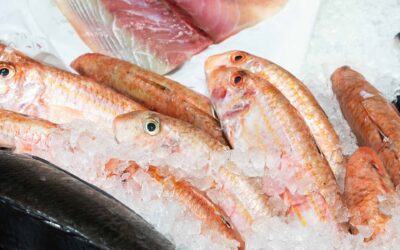 10 buoni motivi per mangiare pesce
